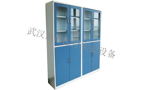 全鋼試劑柜（藥品柜)